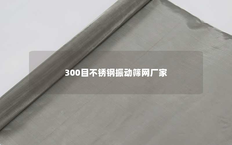 300目不锈钢振动筛网厂家