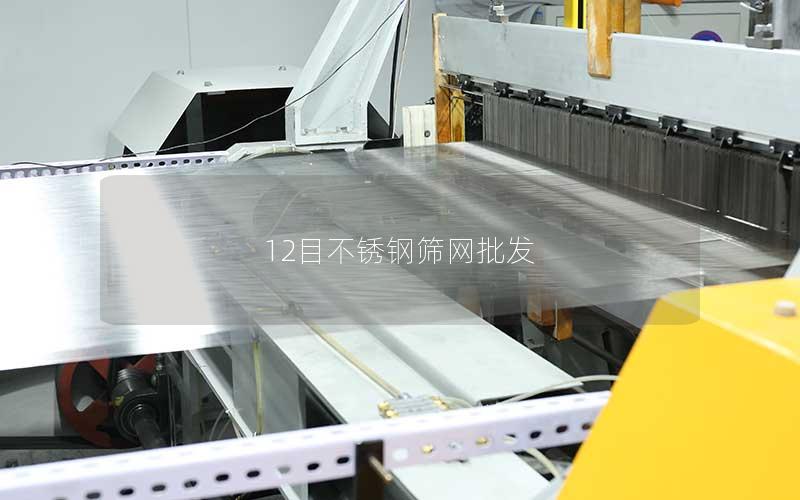12目不锈钢筛网批发